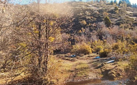 Loteo de chacras en Cholila – OPORTUNIDAD