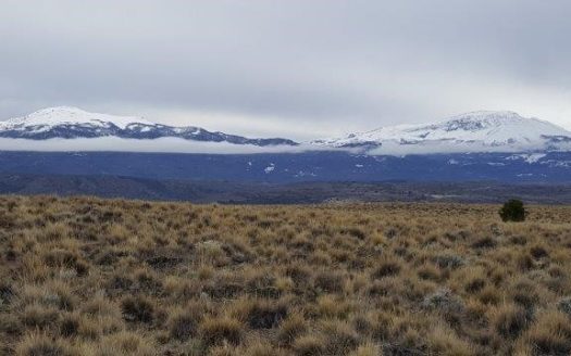 Hectáreas en zona de Esquel