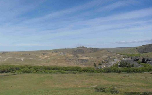 40 y 125 has de campo en Río Pico
