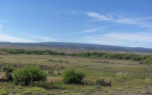 40 y 125 has de campo en Río Pico
