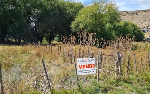 HECTÁREA EN ESQUEL