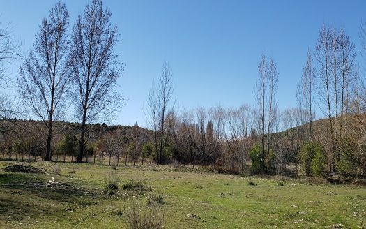 Dos hectáreas con costa de río Percy Trevelin