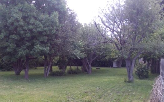 Vivienda con amplio parque en Esquel
