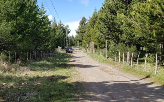 Hectárea en Los Cipreses