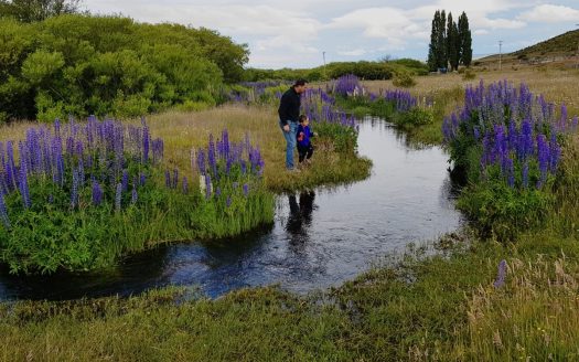 Chacra en Río Pico