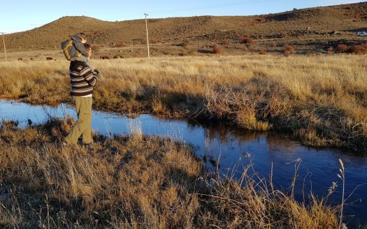 Chacra en Río Pico